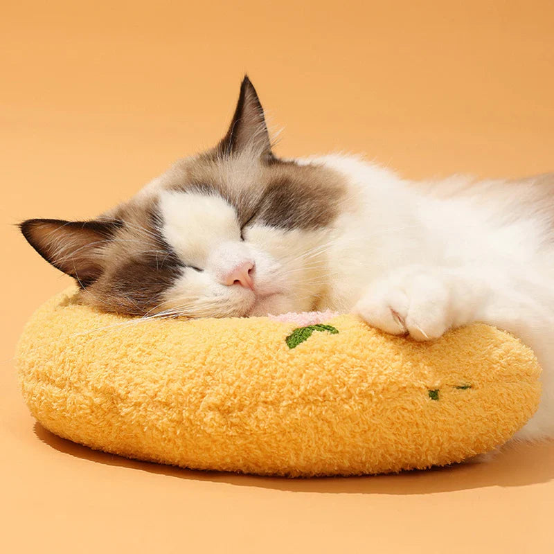 Vida de Pet: Conforto, Diversão e Saúde para Seu Amigo