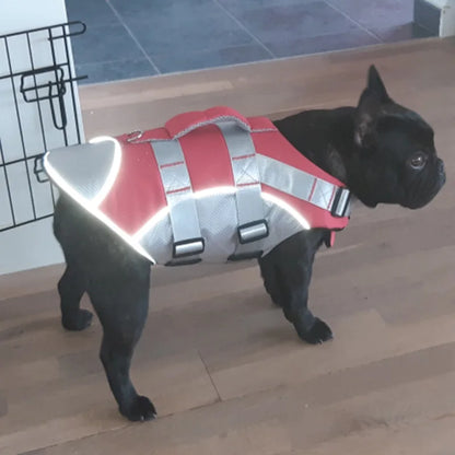 Colete salva-vidas refletivo para cães pequenos e médios, ideal para buldogue francês, verão e banho.