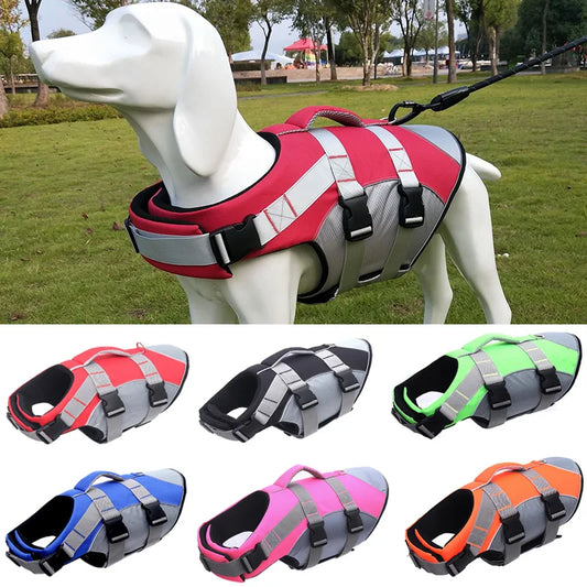 Colete salva-vidas refletivo para cães pequenos e médios, ideal para buldogue francês, verão e banho.