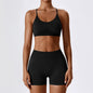 Conjunto fitness sem costura – top e shorts femininos.