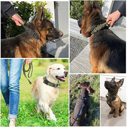 Coleira Tática Ajustável para Cães Médios e Grandes