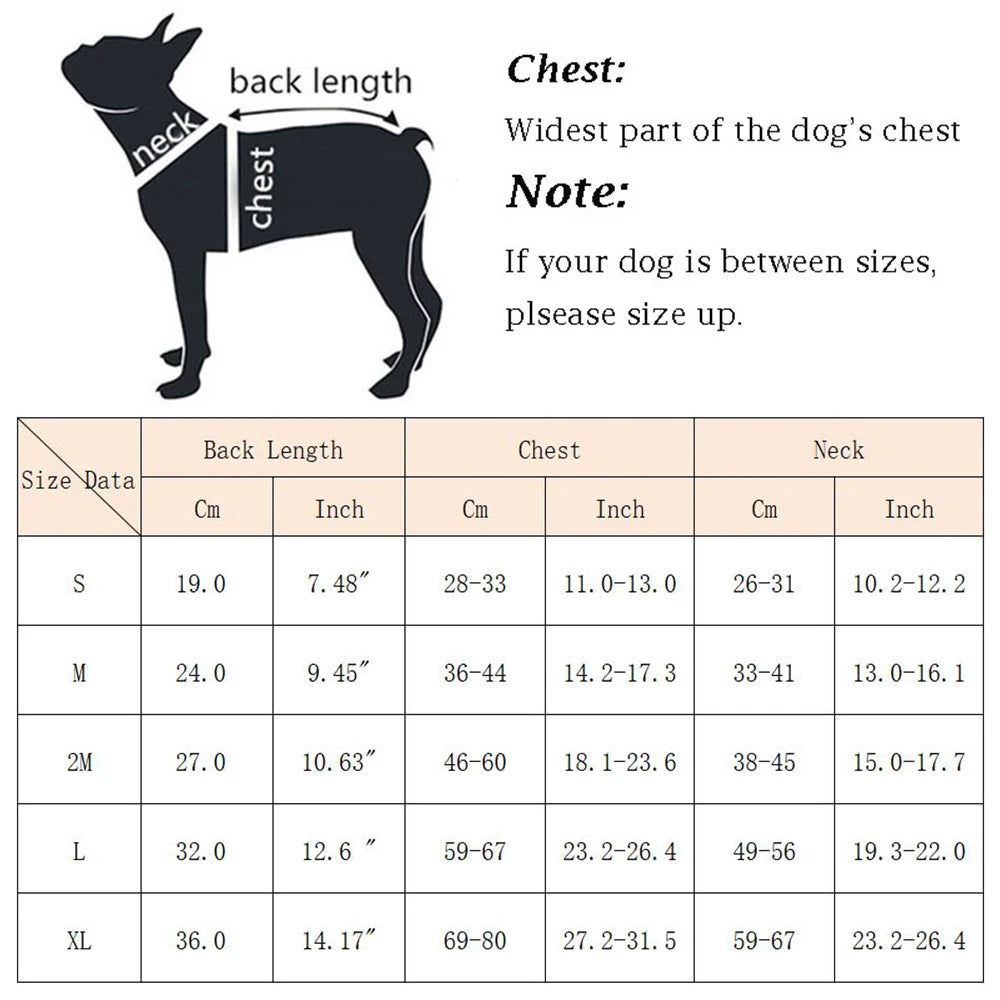 Colete salva-vidas refletivo para cães pequenos e médios, ideal para buldogue francês, verão e banho.