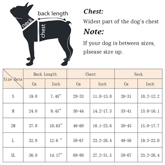 Colete salva-vidas refletivo para cães pequenos e médios, ideal para buldogue francês, verão e banho.