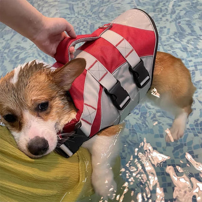 Colete salva-vidas refletivo para cães pequenos e médios, ideal para buldogue francês, verão e banho.