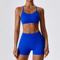 Conjunto fitness sem costura – top e shorts femininos.