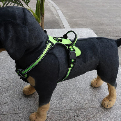 Peitoral de nylon refletivo – confortável para cães.