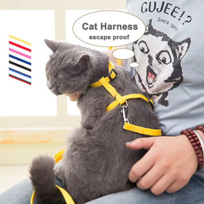 Peitoral e Guia Ajustável para Gatos – Leve, Seguro e Confortável!