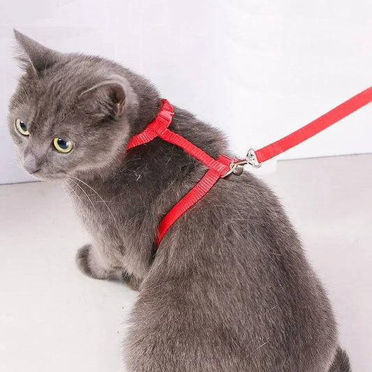 Peitoral e Guia Ajustável para Gatos – Leve, Seguro e Confortável!