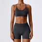 Conjunto fitness sem costura – top e shorts femininos.