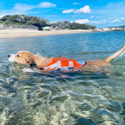 Colete salva-vidas refletivo para cães pequenos e médios, ideal para buldogue francês, verão e banho.